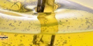 Oleaginosos