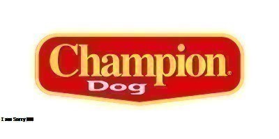 Champion Dog