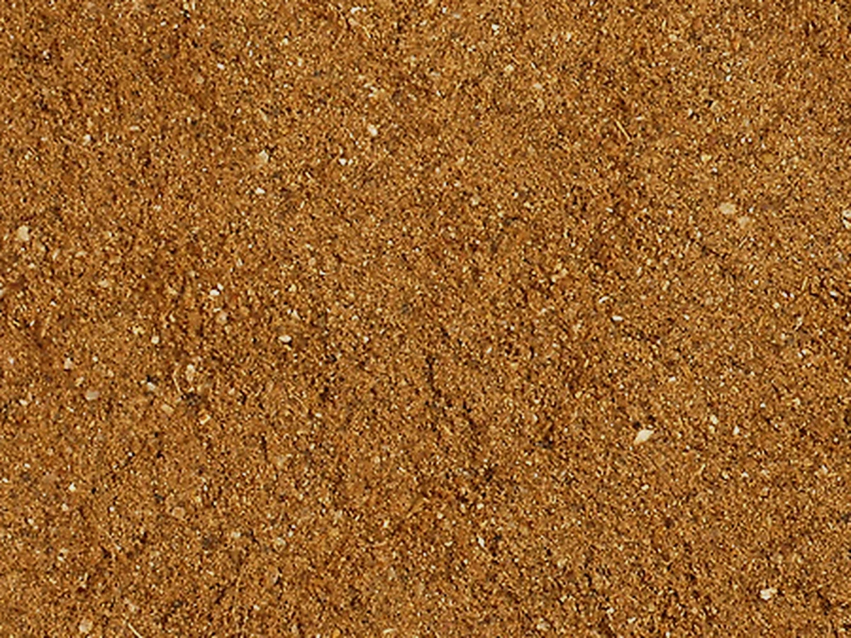 Harina Canola